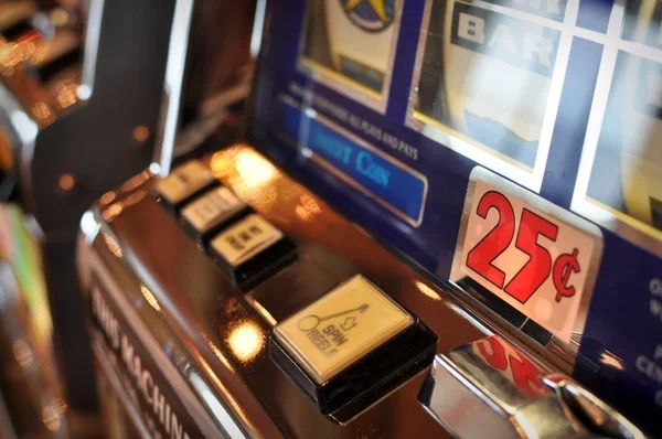 toto33 Entry Levels for Every Budget